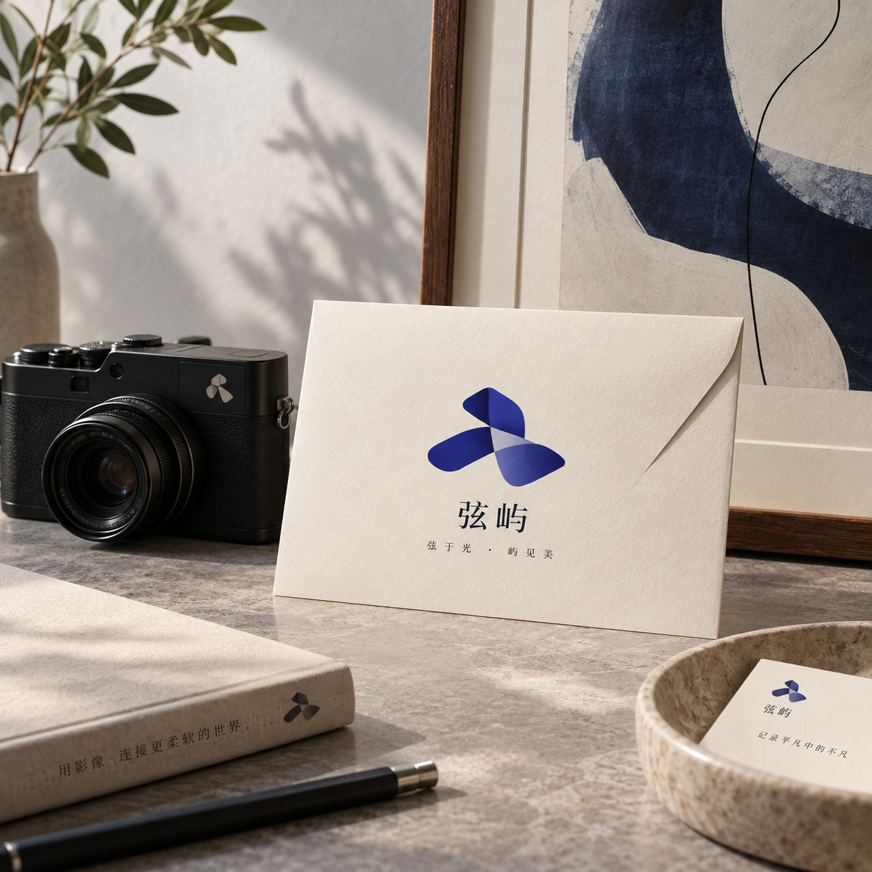 影视摄影品牌应用与设计灵感示意